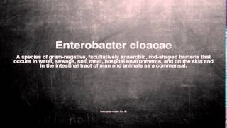 Medical vocabulary What does Enterobacter cloacae mean [upl. by Sarene967]