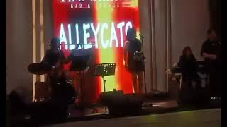 the Alleycats at the Grand Bar Gold  Spandau Ballet [upl. by Conlen]