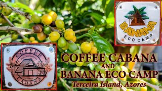 ☕Coffee Cabana Terceira Island Azores  4K☕ [upl. by Elaynad]