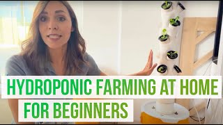 Hydroponics for Beginners Make a Hydroponic Farming System at Home [upl. by Ydarb]