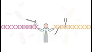 Tools and Techniques used in Genetic engineering [upl. by Cathy]