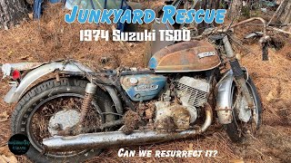 1974 Suzuki T500 ABANDONED in the JUNKYARD  Getting it to Run Again Our Biggest Challenge so far [upl. by Colb237]