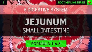 168 🎧 Healthy Jejunum Small Intestine EXTREMELY DEEP HEALING Resonant Subliminal [upl. by Erastus126]