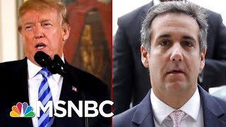 Michael Avenatti Michael Cohen Has Multiple Recordings Of President Trump  Deadline  MSNBC [upl. by Coyle]