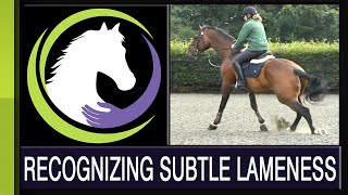 Recognizing Subtle Lameness [upl. by Yrak]