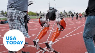 ‘Cassie’ sets world record for fastest 100 meters by a bipedal robot  USA TODAY [upl. by Allis]