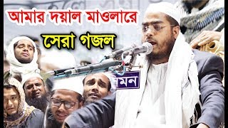 আমার দয়াল মাওলারে হাফিজুর রহমান সিদ্দিকীর সেরা গজল। Hafizur Rahman Siddiki New Gojol 2019 [upl. by Rikahs]