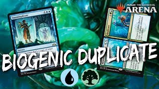 Biogenic Duplicate MTG Arena  Simic Ooze Shenanigans in RNA Standard [upl. by Nnauol]