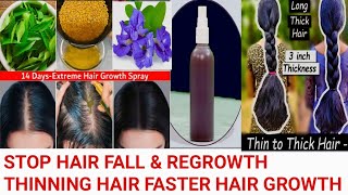 Stop hair fall amp Thick Long hair growth shiny spary powerfull homemade hair growth Toner [upl. by Buckingham829]