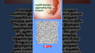 24 வாரத்தில் வயிற்றில் உள்ள குழந்தைக்கு காது கேட்குமா [upl. by Ojytteb]