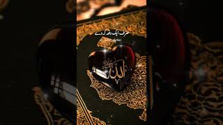 shortvideo Allah islamicvideo islam [upl. by Nahtnaoj]