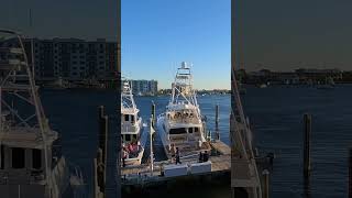 Docking a 72’ Viking sportfish yacht destin [upl. by Lenee]