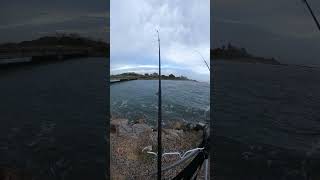 Pêche en digue pêche fishing surfcasting [upl. by Atselec]