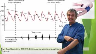 Cirkulationsorganen 5 Blodtryck [upl. by Akimak701]