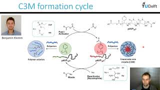 Reece Lewis  Nucleophile mediated coacervation in complex coacervate core micelles [upl. by Alyosha960]