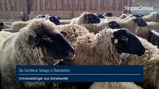 Die Schäferei Schepp in Oberdielfen  Dünger aus Schafswolle [upl. by Kermie]