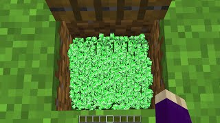 100 mini creeper in chest [upl. by Gayleen]