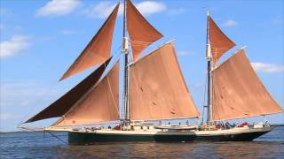 Camden Windjammer Festival Windjammer Fleet Arrival [upl. by Kcirddehs529]