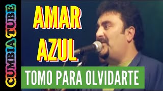 Amar Azul  Tomo para Olvidarte [upl. by Nolrah]