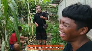 FILM DAYAKJAMPONOT MAN MARINAH EPISODE 49 [upl. by Matusow]