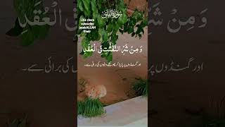 Surahfalaq with Urdu Translation Quran chapter africangreydailylife [upl. by Ertha]