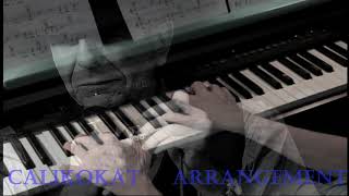 Anthem  Leonard Cohen Piano [upl. by Myk180]