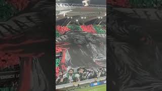 El tifo de los ultras del Legia Varsovia contra el Betis ultimahora noticias viral [upl. by Akitan268]