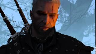 The Witcher 3 breaks 4th wall [upl. by Amjan]