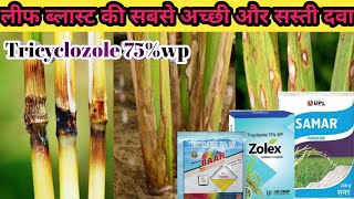 Tricyclozole 75wp। tricyclozole fungicide। upl samr। indofil baan।syngenta gain। sivic। [upl. by Rhea]