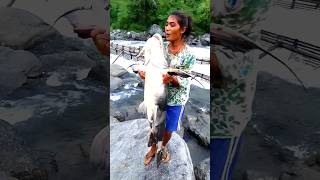 रावाखोलामा 30 केजिको माछा भेटियो short entertainmentmmc fish [upl. by Wei]