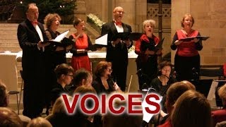 Voices i Lunds domkyrka Juldagen 2013 [upl. by Jacquenette459]