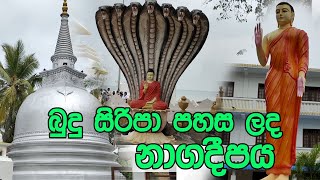 Nagadeepaya  පුරාණ නාගදීප රාජමහා විහාරය Jaffna travel  yapanaya wandanawa [upl. by Rocker]