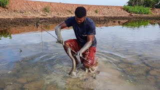 Tirando mussum um peixe estranho bastante consumido no Maranhão [upl. by Orman]