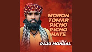 Moron Tomer Pichu Pichu Hate [upl. by Eytteb]