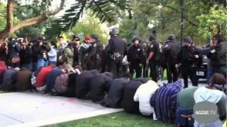 UC Davis Protestors Pepper Sprayed [upl. by Aihsekin]