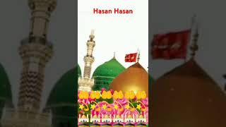 Hasan Hasan Karbala maidan [upl. by Fatimah832]