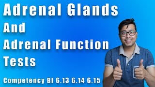 Adrenal Glands and Adrenal Function tests for medicos  Biochemistry competency 613 614 615 [upl. by Endo]