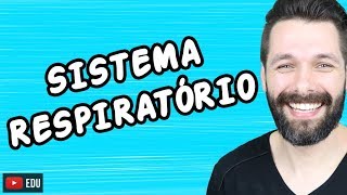 SISTEMA RESPIRATÓRIO  FISIOLOGIA  Biologia com Samuel Cunha [upl. by Anilac]