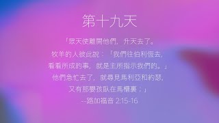 將臨期第十九天，毫不遲疑的信心。 [upl. by Notlad]