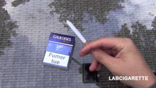 Test13  Gauloises Blondes  Cigarette [upl. by Hiller685]