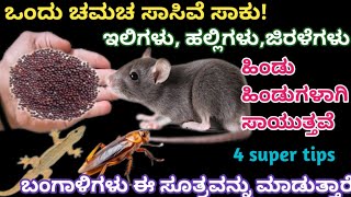 ರಾತ್ರೋರಾತ್ರಿ ಎಲ್ಲಾ ಇಲಿಗಳು ಹಲ್ಲಿಗಳು ಜಿರಳೆಗಳು ಓಡಿ ಹೋಗುತ್ತದೆ  Easy Way toget rid rat in our home [upl. by Llij854]