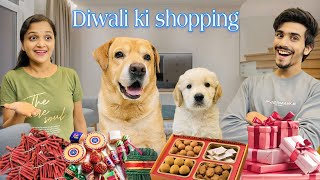 Diwali Ki Shopping  Leo Ka Baby Pagal hogya  Anant Rastogi [upl. by Orimlede]