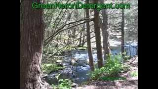 Cat Hollow Park Killingly CT by Green Heron Detergent [upl. by Dib]