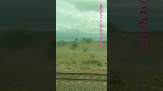 VLINE Southern Cross To Warrnambool 141223 victoria shorts shortvideo train travel views [upl. by Judus]