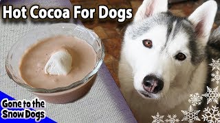 How To Make Hot Chocolate for Dogs  DIY Easy Dog Treats Recipe 91 [upl. by Hamimej538]