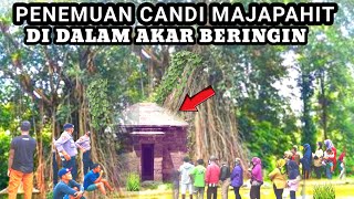 Viral Penemuan candi Majapahit di bawah akar oleh warga setempat [upl. by Hertha200]