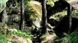 Serra da Estrela Manteigas Covilhã Seia Gouveia PORTUGAL  Resineiro Engraçado Helder  HD  HQ [upl. by Aldridge984]