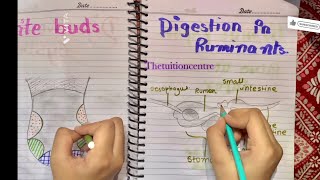 How to draw science diagram easily  step by step 🔥💯 ttc drawing art [upl. by Cowen]