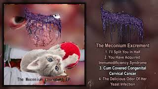 Reeking Pile Of Septic Brain Fluid  The Meconium Excrement FULL EP 2023  Goregrind [upl. by Kendre]