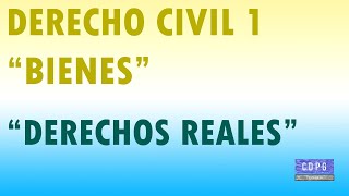 Derechos reales  Derecho Privado 1 quotBienesquot [upl. by Anaik]